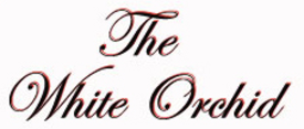 The White Orchid