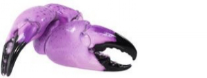 Purple Claw : Web Design & Development Purple Claw : Web Design & Development