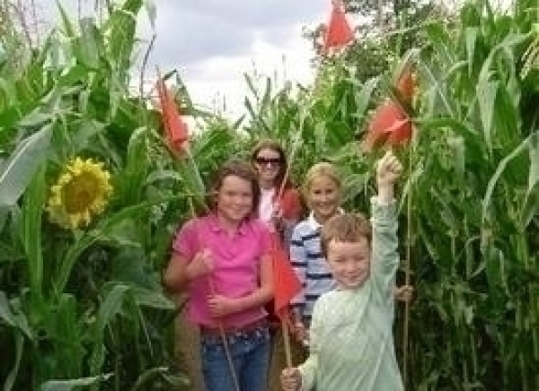 Wistow Maze