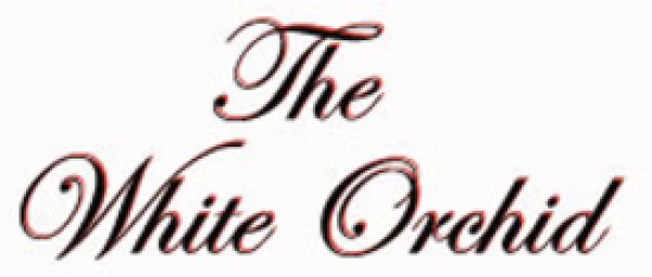 The White Orchid