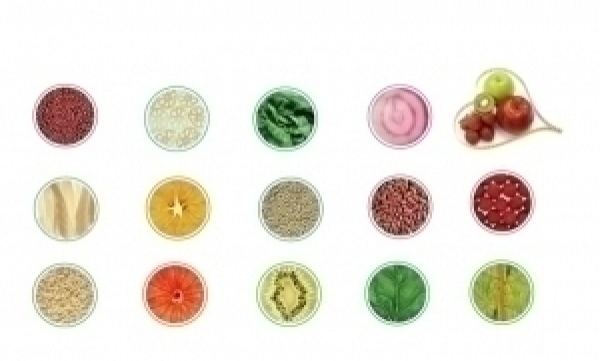 Diet & Nutrition Advisor