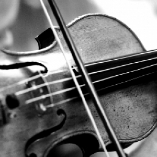 Harborough Concerts and The Harborough Collective